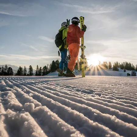 Steinbock - Ski-in & Ski-out *