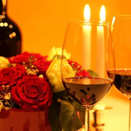 Steinbock - Ski-in & Ski-out Apartmán