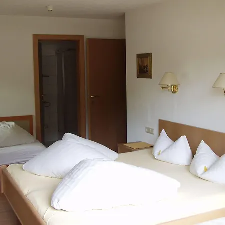 Apartmán Steinbock - Ski-in & Ski-out *