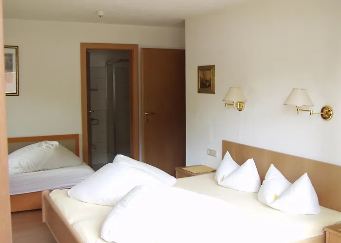 Steinbock - Ski-in & Ski-out Apartman Tux